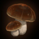 Icon PennyBunMushroom.png