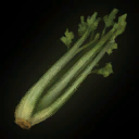 Icon Celery.png