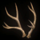 Icon Antlers.png