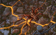 Env Wolf Spider.png