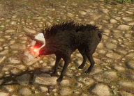 Env Dread Wolf.png