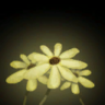 Icon Moonbeam Flowers.png