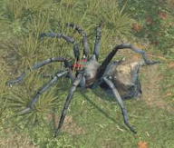 Env Giant Spider.png