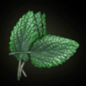Icon Catmint Leaves.png