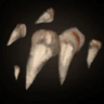 Icon WolfTeeth.png