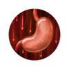 Icon StatusEffect Starving.png